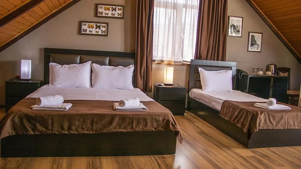 Hotel New Metekhi Тбилиси Грузия