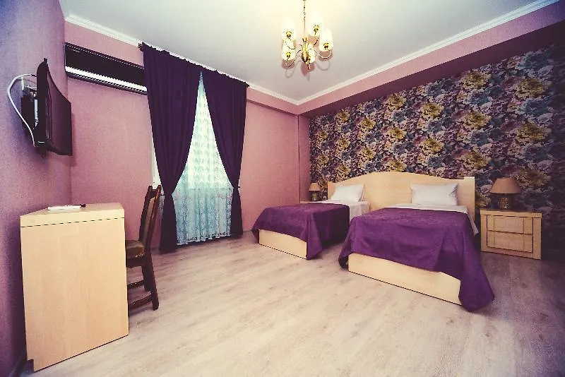 Hotel New Metekhi Тбилиси 3*,